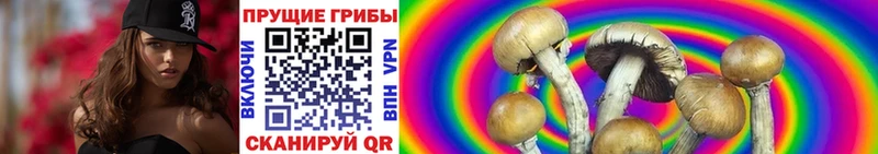 продажа наркотиков  Полтавская  Псилоцибиновые грибы прущие грибы 