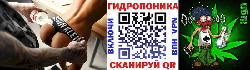 Конопля марихуана  Полтавская 